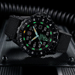 F-117 Nighthawk™ x Skunk Works ®