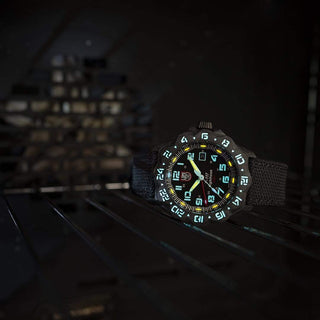 F-117 Nighthawk Pilot GMT