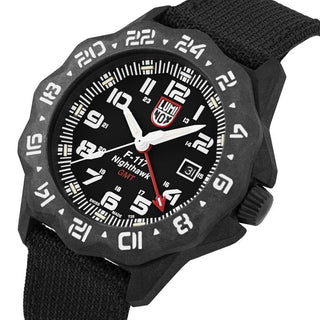F-117 Nighthawk Pilot GMT