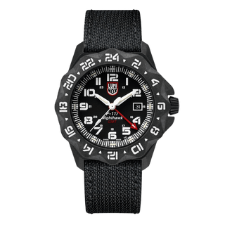 F-117 Nighthawk Pilot GMT